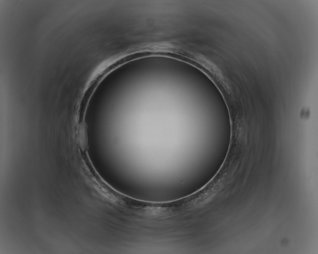 X0000097771176200803071310