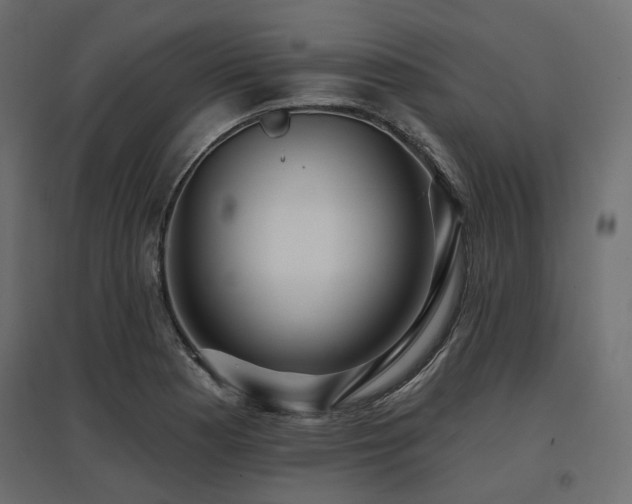 X0000097771177200803071310