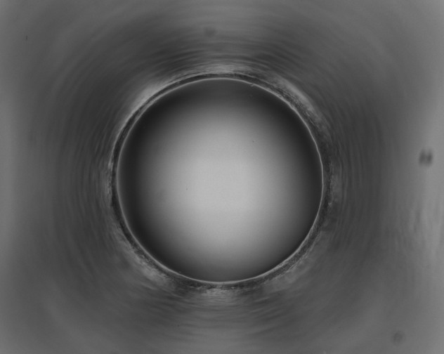 X0000097771178200803071310