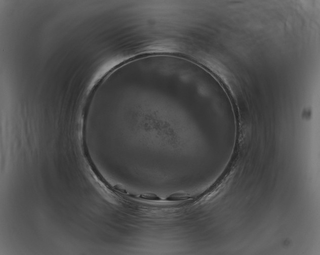 X0000097771179200803071310