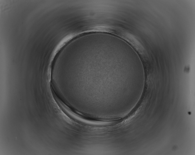 X0000097771180200803071310
