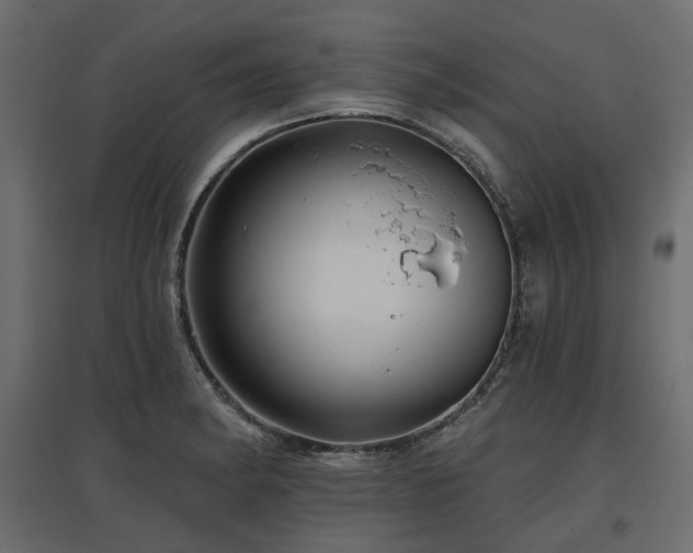 X0000097771182200803071310