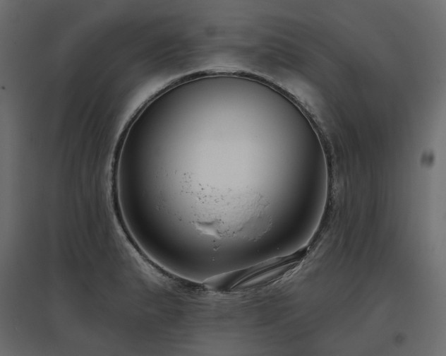 X0000097771183200803071310