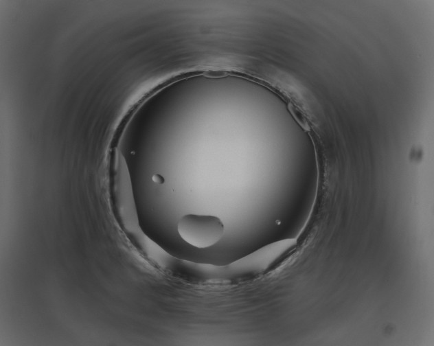 X0000097771184200803071310