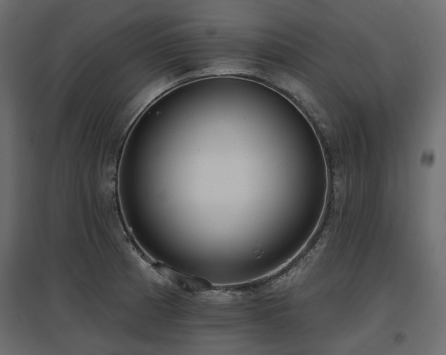 X0000097771185200803071310