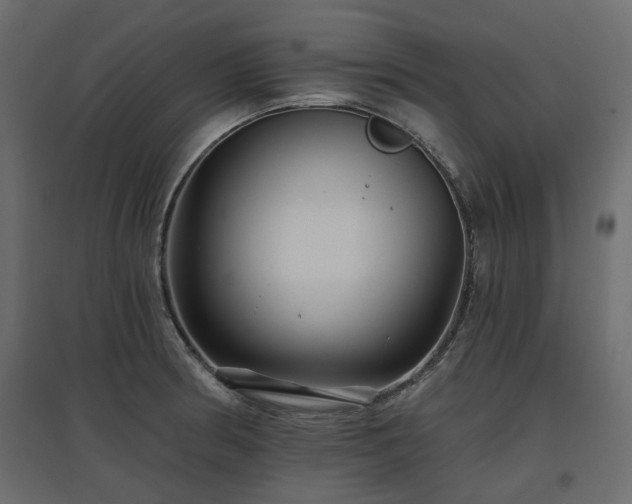 X0000097771186200803071310