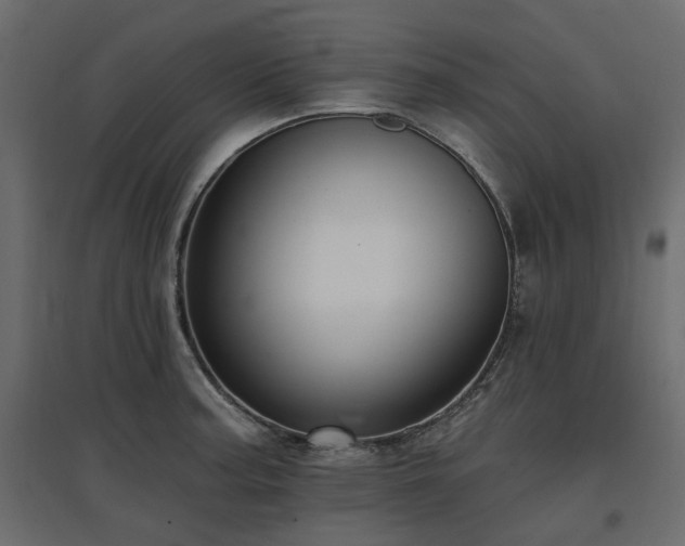 X0000097771187200803071310