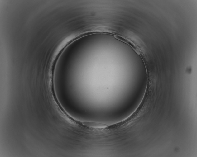 X0000097771188200803071310