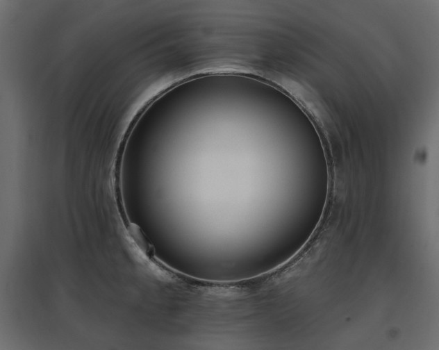 X0000097771189200803071310