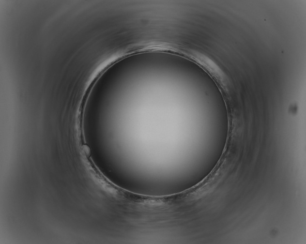 X0000097771190200803071310
