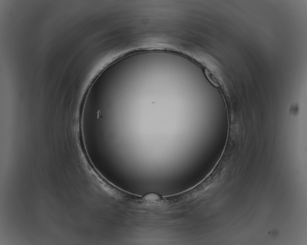 X0000097771191200803071310