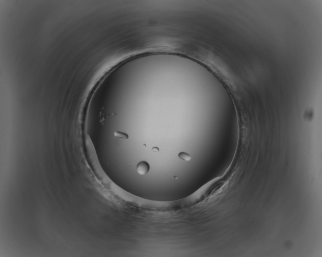 X0000097771192200803071310
