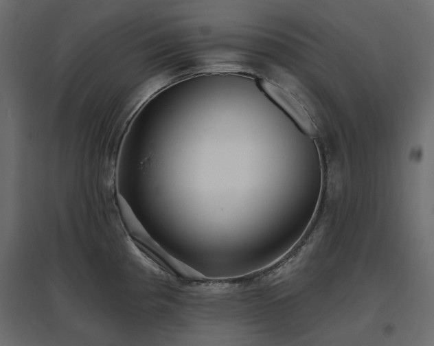 X0000097771193200803071310
