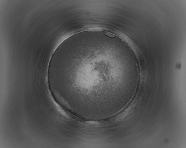 X0000097771194200803071310