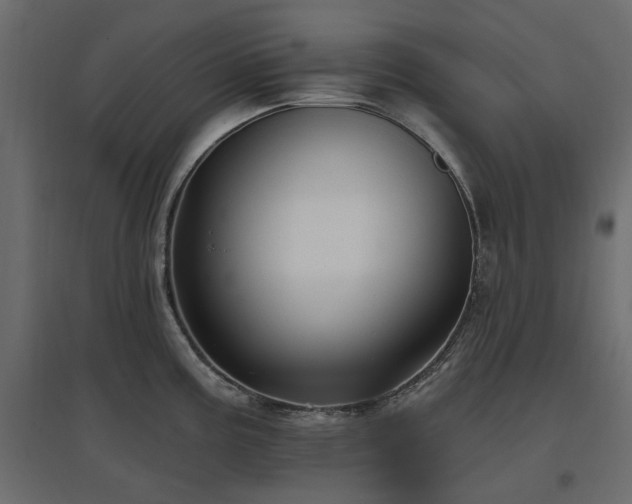 X0000097771195200803071310