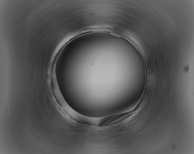 X0000097771196200803071310