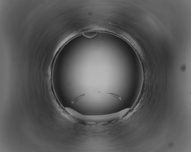 X0000097771198200803071310