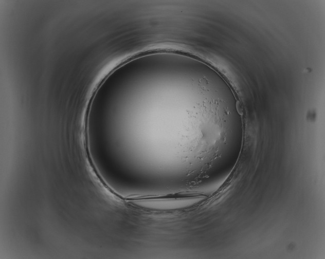 X0000097771199200803071310
