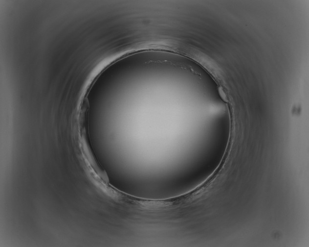 X0000097771200200803071310