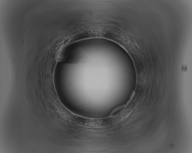 X0000097771201200803071309