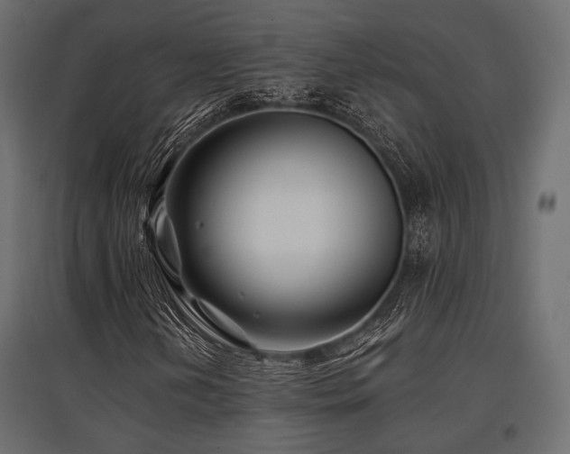 X0000097771202200803071309