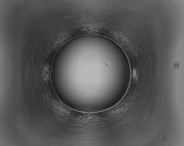 X0000097771203200803071309