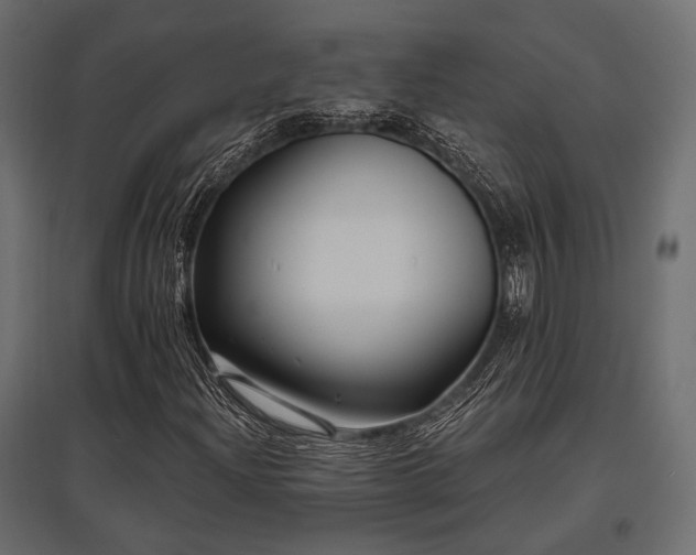 X0000097771204200803071309