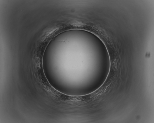 X0000097771205200803071309