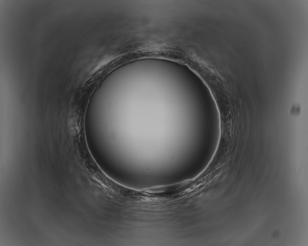 X0000097771206200803071309