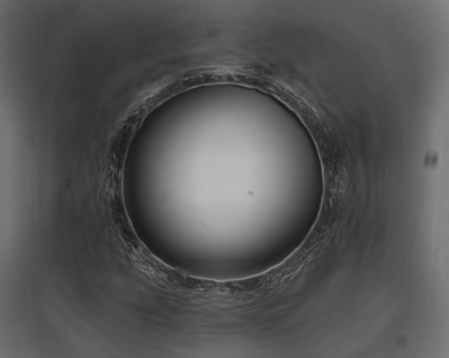 X0000097771207200803071309