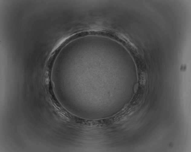 X0000097771208200803071309