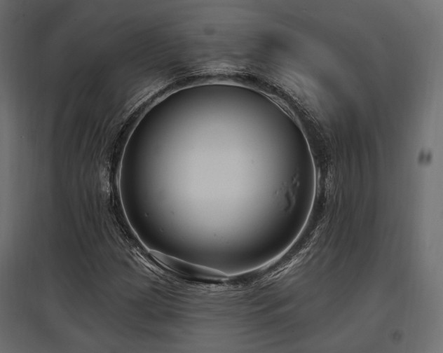 X0000097771209200803071309