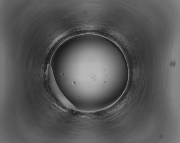 X0000097771210200803071310