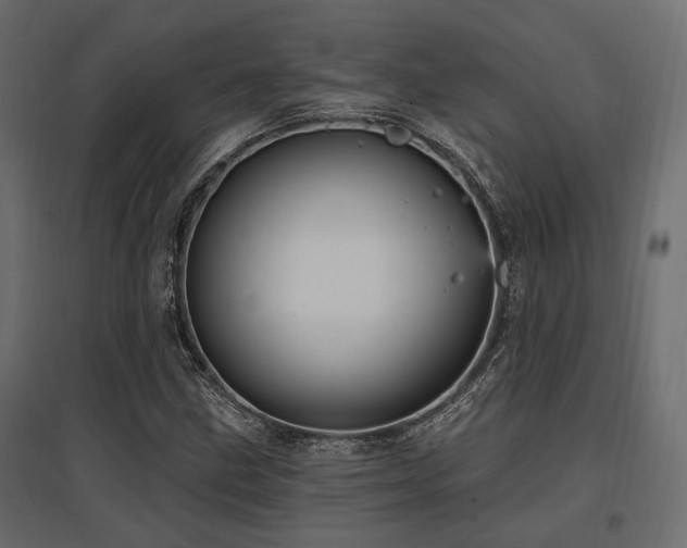 X0000097771211200803071310
