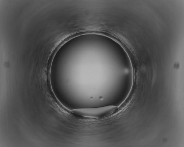 X0000097771212200803071310