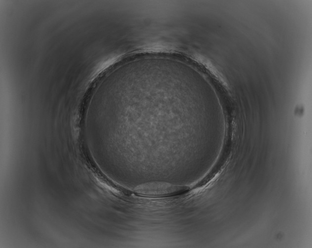 X0000097771213200803071310