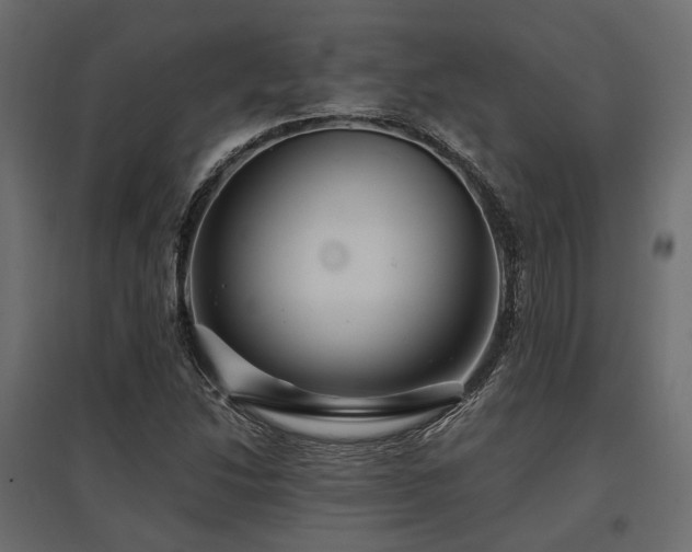 X0000097771214200803071310