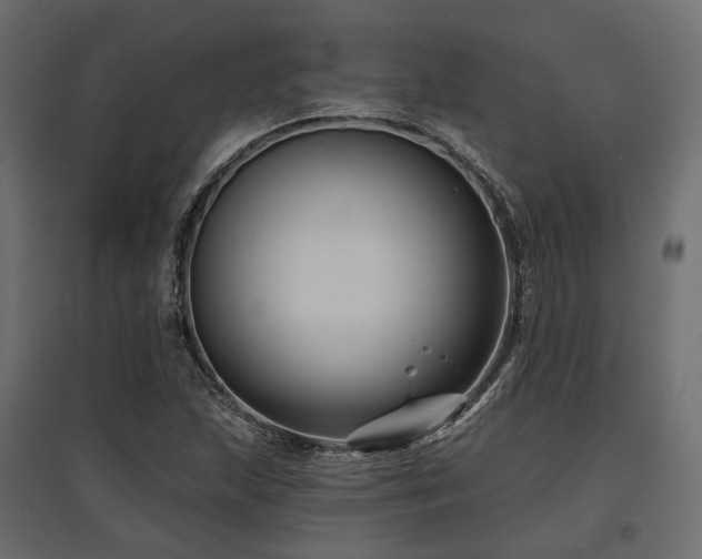 X0000097771215200803071310