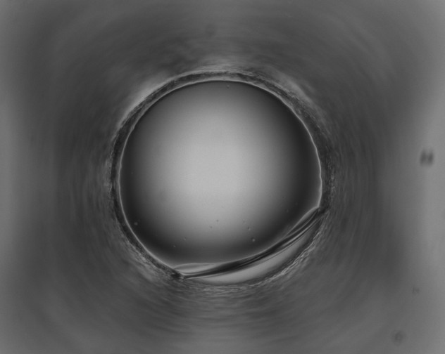X0000097771216200803071310