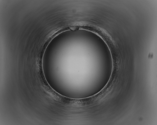 X0000097771217200803071310