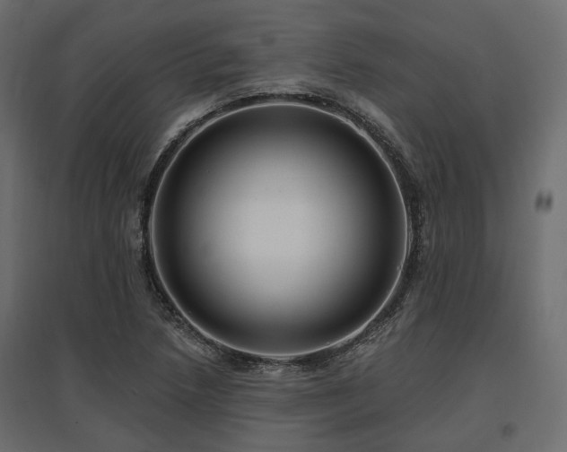 X0000097771218200803071310