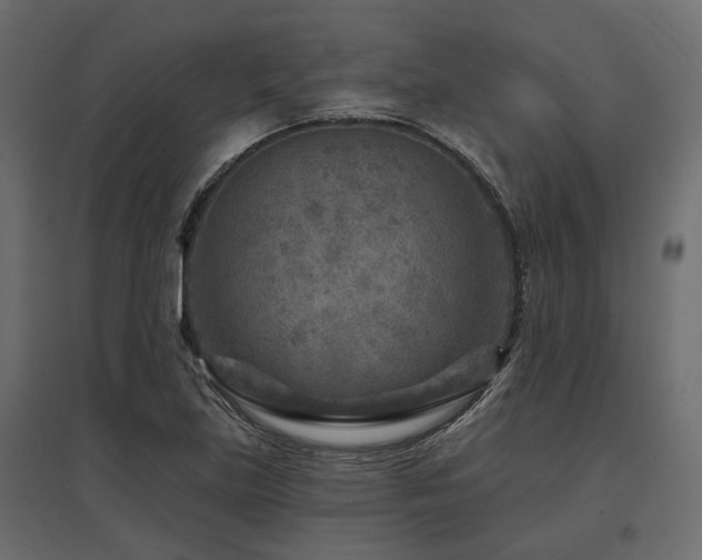 X0000097771219200803071310
