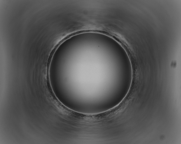 X0000097771220200803071310