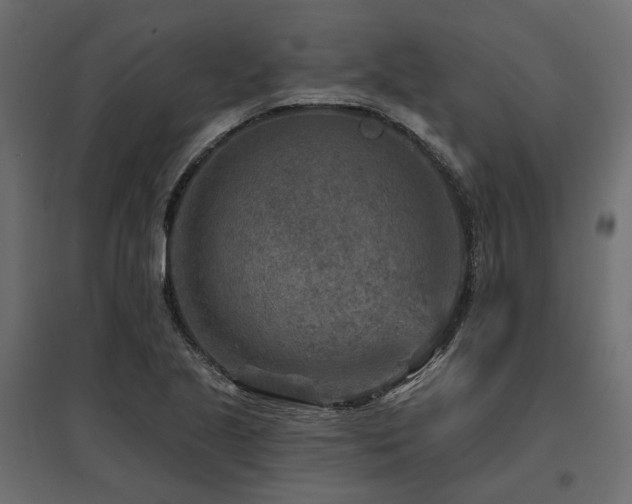 X0000097771221200803071310