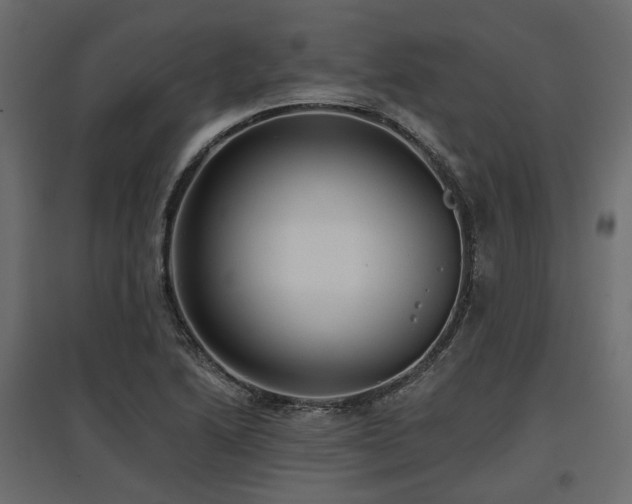 X0000097771222200803071310
