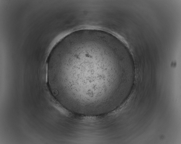 X0000097771223200803071310