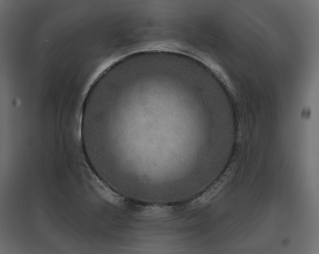 X0000097771224200803071310