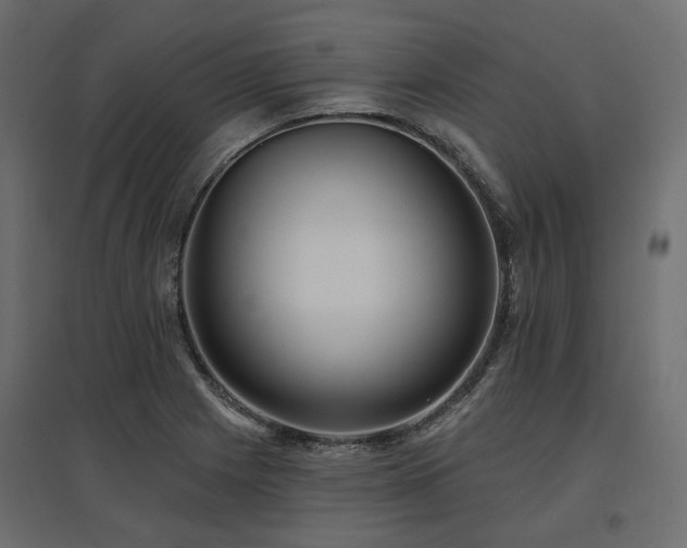 X0000097771225200803071310