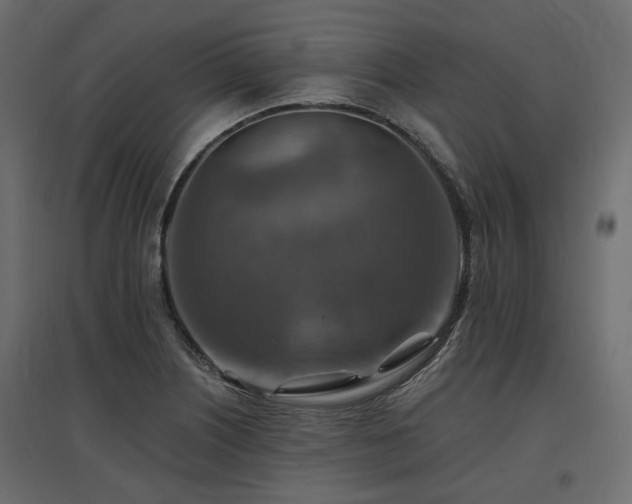 X0000097771226200803071310