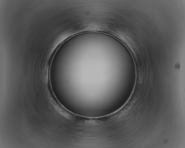 X0000097771227200803071310